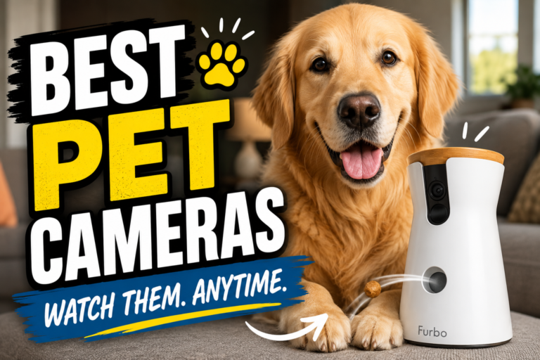 best pet cameras